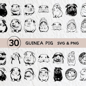 May include: A set of 30 black and white illustrations of guinea pigs in various poses. The illustrations are perfect for creating crafts, scrapbooking, or digital projects.  "30 GUINEA PIG SVG & PNG" is written in white text on a black background.