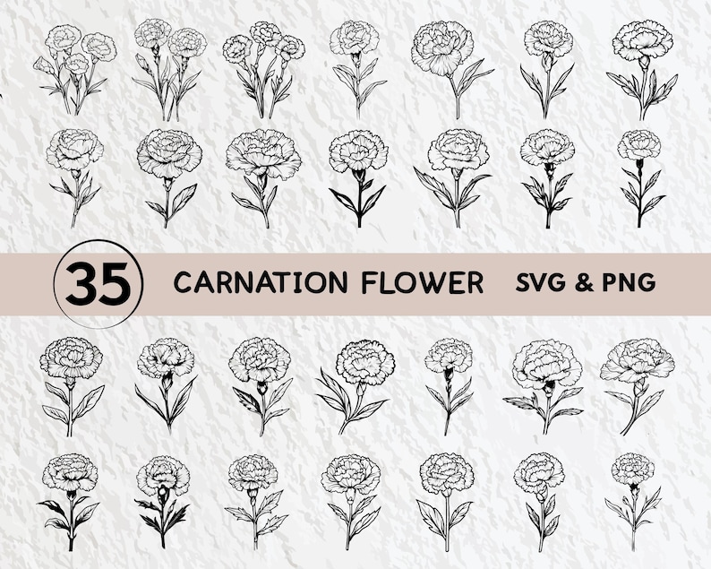 Carnation Flower SVG Bundle: Outline Clipart, Cricut Files (digital ...