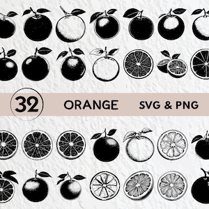 Orange SVG Bundle: Fruit Clipart, Logo, Icon (PNG, Vector)