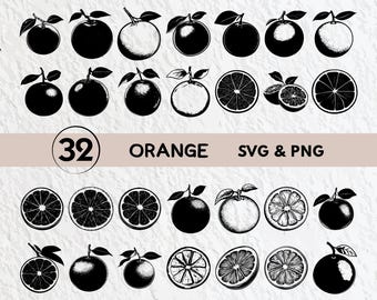 Orange SVG Bundle: Fruit Clipart, Logo, Icon (PNG, Vector)