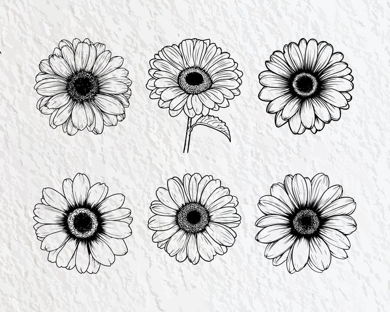 Gerbera Flower SVG Bundle: Floral Clipart, Vector Graphics (digital ...