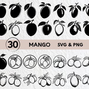 Mango Svg Bundle, Mango Silhouette, Mango Clipart Png, Mango Outline, Mango Vector, Mango Logo, Mango Icon, Mango Cricut Decal Cut Files Svg