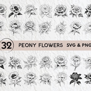 Peony Flower SVG Bundle: Floral Clipart, Vector Logo Icon (PNG, SVG)