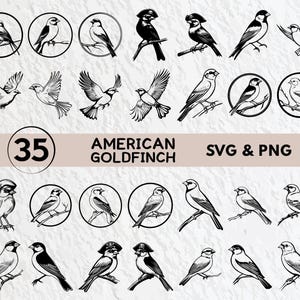 American Goldfinch Svg Bundle, American Goldfinch Silhouette, Goldfinch Clipart Png, Goldfinch Outline Vector Logo Icon Decal Cricut Files