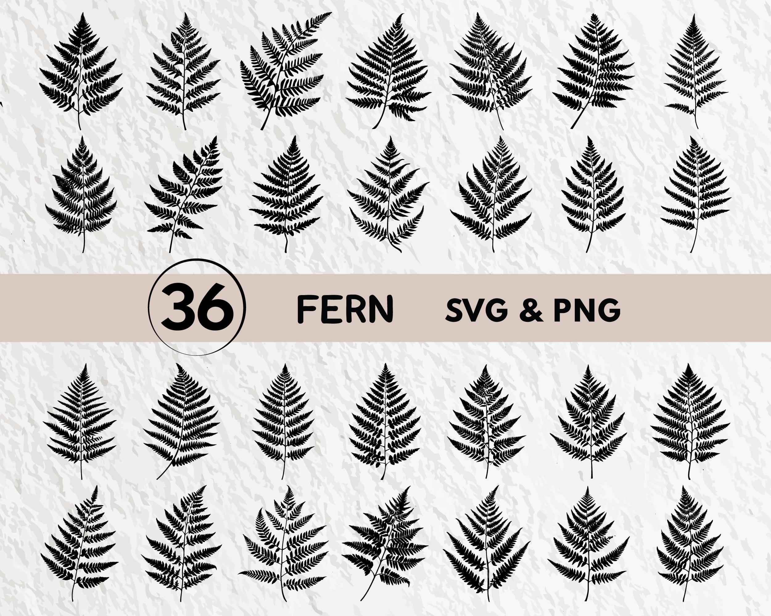 Fern Svg Bundle, Fern Silhouette, Fern Clipart Png, Fern Outline, Fern Vector, Fern Logo, Fern  Icon, Fern Cricut Cut Files Svg Png Set