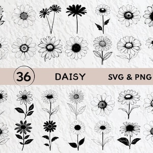 デイジー SVG バンドル: 花のシルエット、クリップアート、ベクター (デジタル ダウンロード)