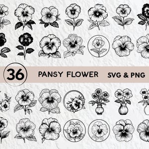 Stiefmütterchen Blume Silhouette, Stiefmütterchen Blume Silhouette, Stiefmütterchen Blume Clipart Png, Stiefmütterchen Umriss, Stiefmütterchen Vektor Logo Symbol Cricut Aufkleber Schnitt Dateien svg