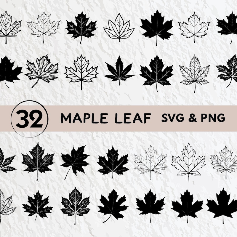 Maple Leaf Design - Etsy