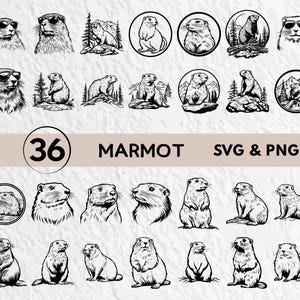Marmot SVG bundel, marmot silhouet, marmot clipart png, marmot vector, marmot logo, marmot pictogram sticker Cricut gesneden bestanden SVG