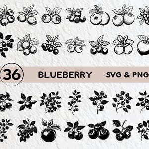 Könnte beinhalten: Schwarz-Weiß-Illustrationen von Blaubeeren in verschiedenen Anordnungen, einschließlich Büscheln und einzelnen Beeren mit Blättern. Der Text "36 BLUEBERRY SVG & PNG" ist enthalten.
