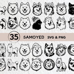 Samoyed SVG Bundle: Dog Silhouette Clipart, Cricut Cut Files (PNG, Vector)
