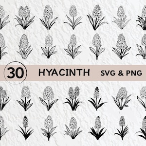 Hyacinth SVG Bundle: Floral Silhouette, Clipart, Vector (Cricut Cut Files)