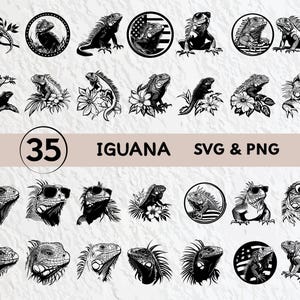 Lot d&#39;iguanes SVG : silhouettes, cliparts, vecteurs (PNG, Cricut)