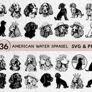 Puede incluir: 36 ilustraciones en blanco y negro de perros American Water Spaniel en varias poses, incluyendo sentado, de pie y corriendo. Las ilustraciones están en un diseño simple y estilizado y son perfectas para usar en manualidades, scrapbooking o proyectos digitales.