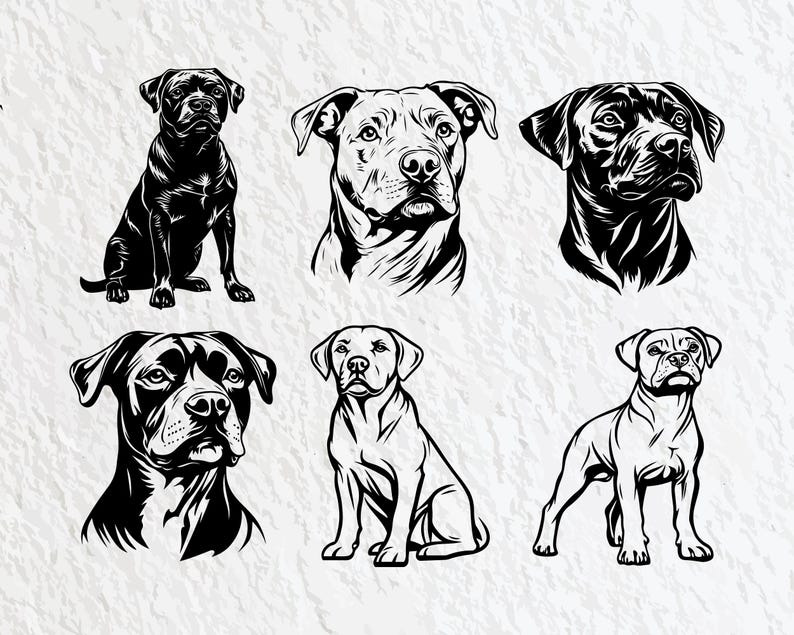 Labrabull Line Labrabull Dog SVG Bundle: Silhouette Vector Clipart (PNG, SVG) - Etsy