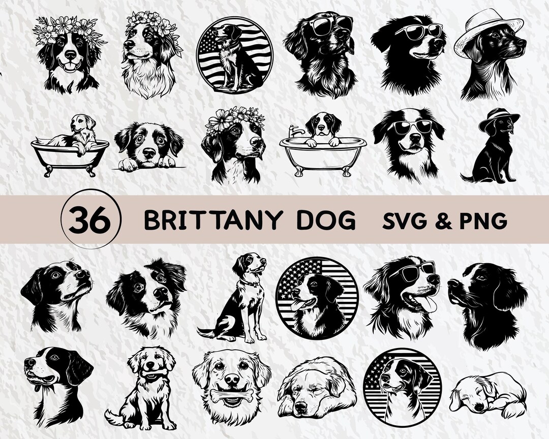 Brittany Svg Bundle, Brittany Silhouette, Brittany Clipart Png ...