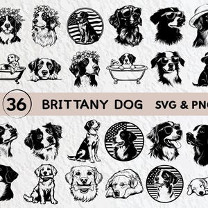 Brittany Dog SVG Bundle: Silhouette Clipart, Vector Graphics (PNG, Cricut)