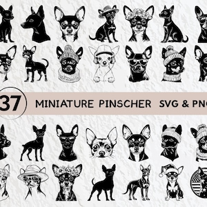 May include: A set of 37 black and white silhouette SVG and PNG digital files featuring miniature pinscher dog breeds in various poses. The files are perfect for crafting, scrapbooking, and other creative projects.
