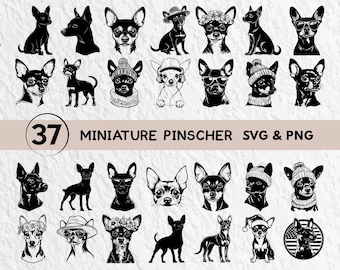 Miniature Pinscher SVG Bundle: Dog Silhouette Clipart (PNG, Vector)