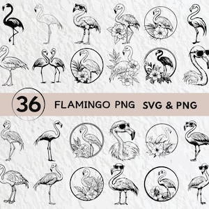 Flamingo SVG Bundle: Silhouette, Clipart, Logo (PNG, Vector)
