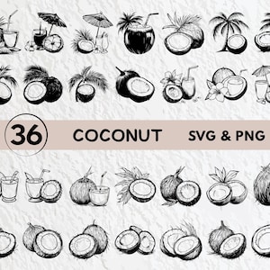 Coconut SVG Bundle: Clipart, Silhouette, Vector Files (Digital Download)
