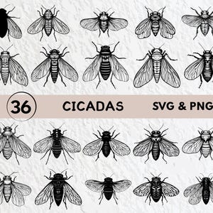Cicada SVG Bundle: Insect Clipart, Cricut Decal (Digital Download)