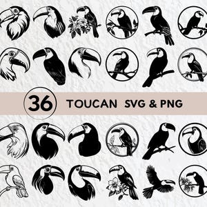 Toucan SVG Bundle: Silhouette Clipart, Logo Icon (PNG, Vector)