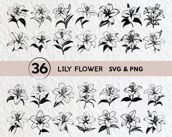 Paquete SVG de flor de lirio: silueta floral (PNG, vector)
