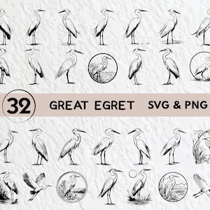 May include: A set of 32 black and white SVG and PNG digital files featuring illustrations of great egrets in various poses. The illustrations are perfect for crafting projects, scrapbooking, and digital design.