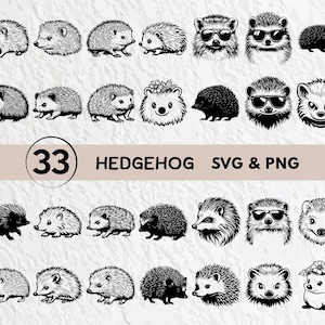 Hedgehog SVG Bundle: Silhouette Clipart, Vector Icon (Digital Download)