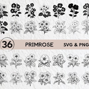 Primrose Svg Bundle, Primrose Silhouette, Primrose Clipart Png ...