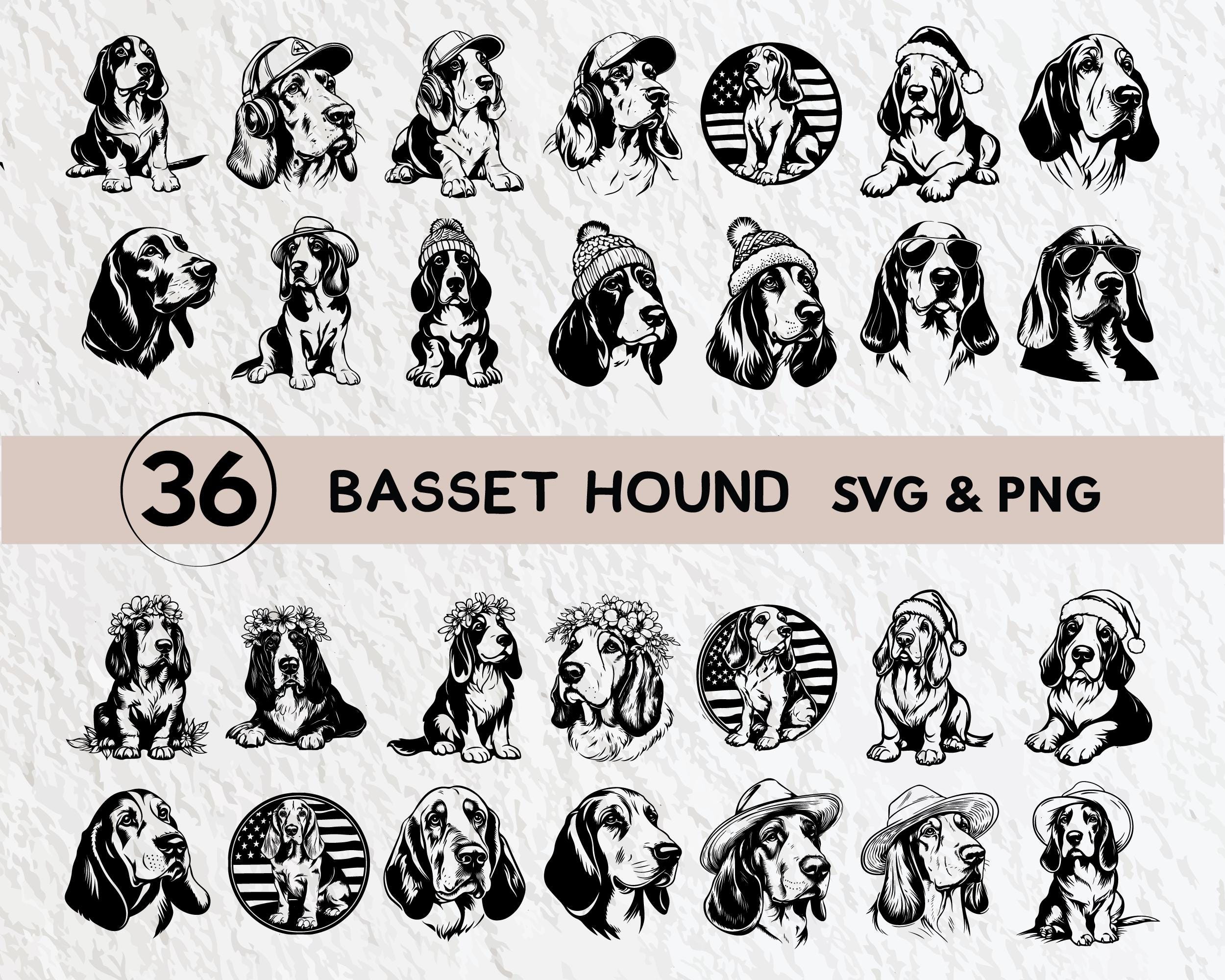 Basset Hound SVG Bundle: Silhouette Clipart, Logo Icon Decal (PNG) - Etsy