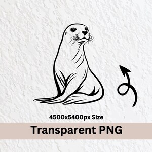 Seal Svg Bundle, Seal Silhouette, Seal Clipart Png, Seal Outline, Seal Vector, Seal Logo, Seal Icon, Seal Cricut Files, Seal Decal Cut Files