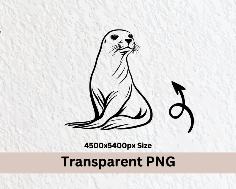 Seal Svg Bundle, Seal Silhouette, Seal Clipart Png, Seal Outline, Seal Vector, Seal Logo, Seal Icon, Seal Cricut Files, Seal Decal Cut Files