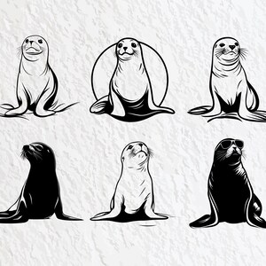 Seal Svg Bundle, Seal Silhouette, Seal Clipart Png, Seal Outline, Seal Vector, Seal Logo, Seal Icon, Seal Cricut Files, Seal Decal Cut Files