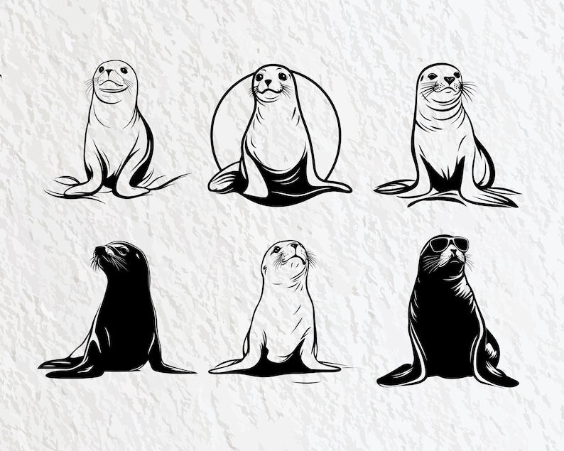 Seal Svg Bundle, Seal Silhouette, Seal Clipart Png, Seal Outline, Seal Vector, Seal Logo, Seal Icon, Seal Cricut Files, Seal Decal Cut Files