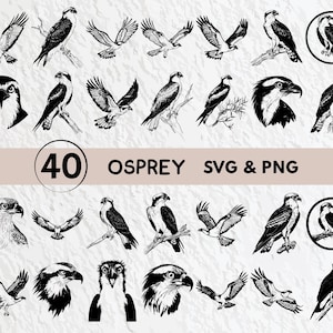 May include: A set of 40 black and white vector illustrations of osprey birds in various poses. The illustrations are perfect for crafting projects, scrapbooking, and digital design.
