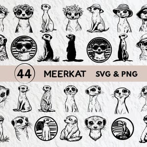 Erdmännchen SVG Bundle: Silhouette Clipart, Cricut Aufkleber (digitaler Download)