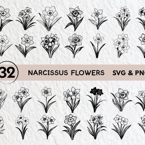 Narcissus Flower SVG Bundle: Floral Clipart, Vector Cut Files