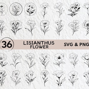 Lisianthus Flower Svg Bundle, Lisianthus Flower Silhouette, Lisianthus Flower Clipart Png, Lisianthus Flower Vector Logo Cricut Decal Files