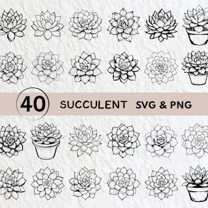 May include: A set of 40 black and white line drawings of succulent plants. The succulents are in various shapes and sizes, some are potted and some are not. The drawings are simple and elegant, and would be perfect for use in a variety of projects.