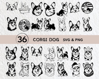 Corgi hund silhuett bunt: SVG, PNG, Cricut Cut-filer