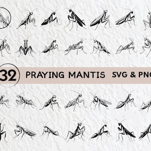 Praying Mantis Svg Bundle, Praying Mantis Silhouette, Praying Mantis Clipart, Praying Mantis Outline, Praying Mantis Vector Logo Cut Files