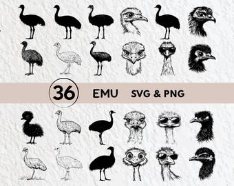 Emu SVG-bundel: silhouet clipart, vectorgraphics (PNG, Cricut-bestanden)