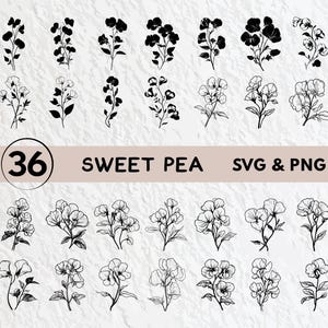Sweet Pea Svg Bundle, Sweet Pea Silhouette, Sweet Pea Clipart Png, Sweet Pea Outline, Sweet Pea Vector Logo Icon Decal Cricut Cut Files Set