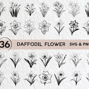 May include: A set of 36 black and white line art illustrations of daffodil flowers. The illustrations are in a variety of poses and angles, and are perfect for use in crafting, scrapbooking, or digital design.