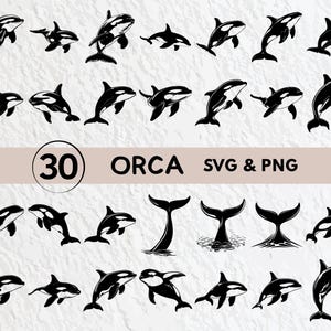 Puede incluir: Un conjunto de 30 archivos digitales SVG y PNG en blanco y negro que presentan siluetas de orcas en varias poses. Los archivos son perfectos para proyectos de manualidades, scrapbooking y más.