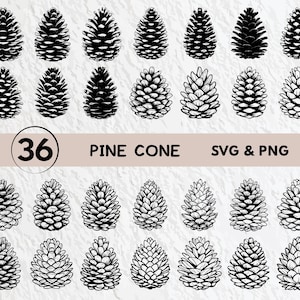 Może przedstawiać: Zestaw 36 czarno-białych ilustracji szyszek. Szyszki są narysowane w prosty, stylizowany sposób.  "Pine Cone SVG & PNG" jest napisane na górze obrazu.