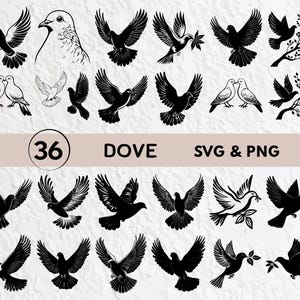 May include: A collection of 36 dove illustrations in SVG and PNG formats. The designs include various poses of doves, some with olive branches, in black and white. The word "DOVE" is displayed in a sans-serif font.