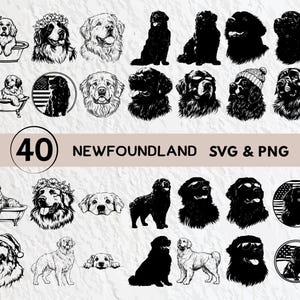 Newfoundland Svg Bundle, Newfoundland Silhouette, Newfoundland Clipart Png, Newfoundland Outline, Newfoundland Vector Logo Icon Svg Files